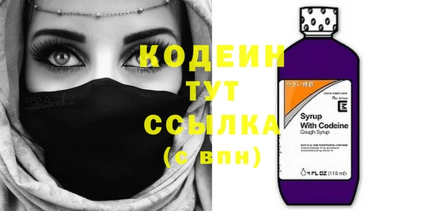 индика Рославль