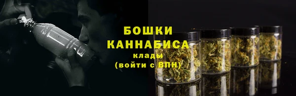 индика Рославль