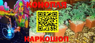 крисы Чебоксары
