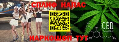 крисы Чебоксары