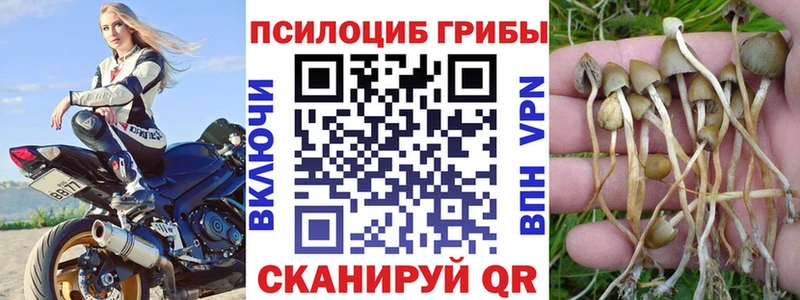 где можно купить   Нижнеудинск  Псилоцибиновые грибы прущие грибы 