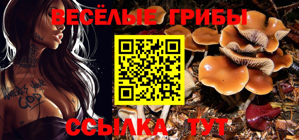 Нижнеудинск  хочу наркоту  Вход с VPN  Псилоцибиновые грибы GOLDEN TEACHER  Псилоцибиновые грибы прущие грибы 